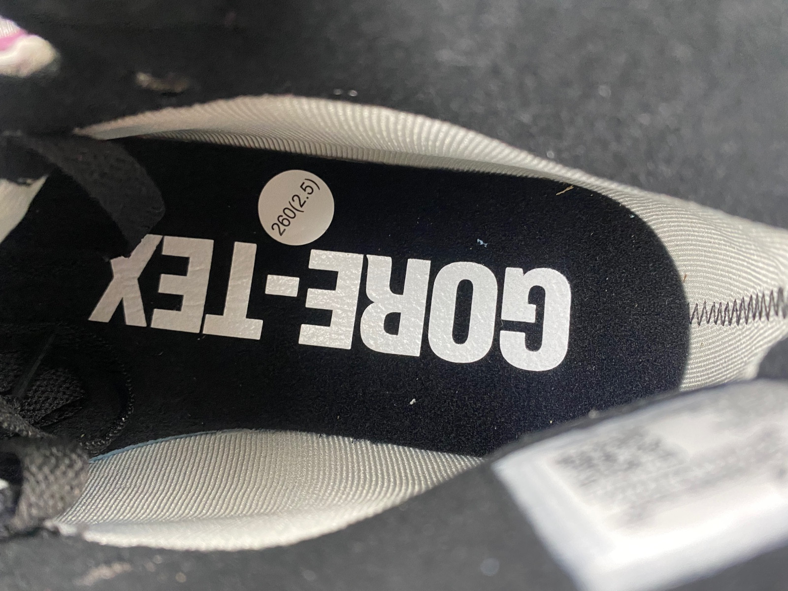 Jordan 1 High Element Gore-Tex Berry - DB2889-500