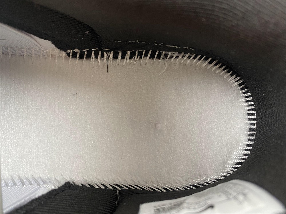 Nike Dunk Low Disrupt 2 Just Do It Snakeskin DV1490-161