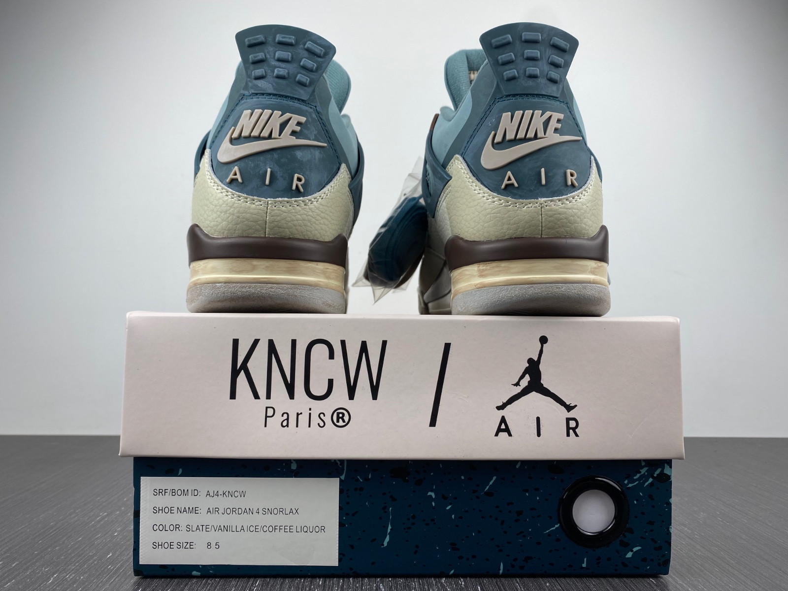Andrew Chiou Air Jordan 4 Snorlax AJ4-KNCW
