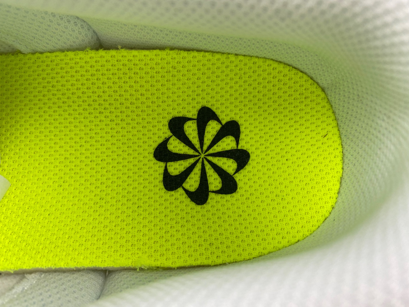 Nike Dunk Low Next Nature Lilac (W) DN1431-103