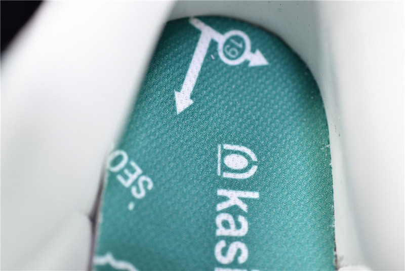 Kasina x Nike Dunk Low CZ6501-101