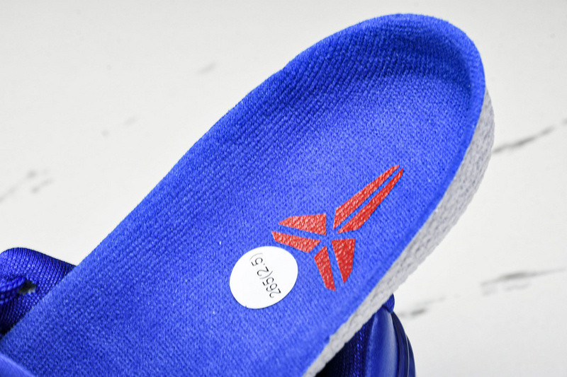 Nike Kobe 6 Protro "Dodgers" CW2190-400