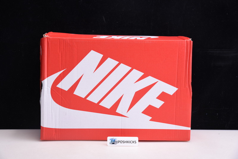 NIKE DUNK LOW SB SP CERAMIC DA1469-001