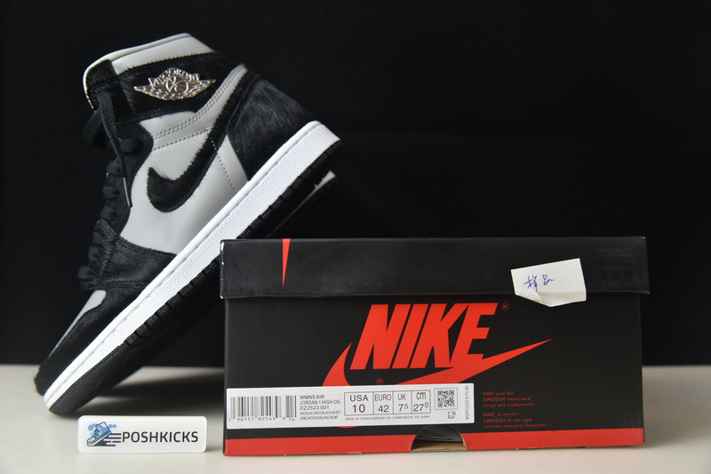 Jordan 1 Retro High OG Twist 2.0 (W) DZ2523-001