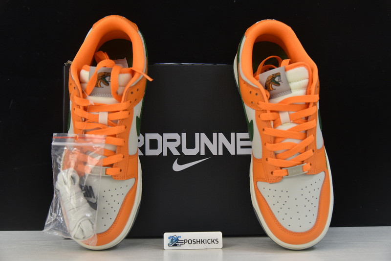 Florida A&M x Nike Dunk Low DR6188-800