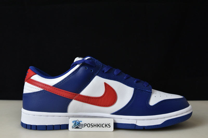 Nike Dunk Low USA (W) DD1503-119