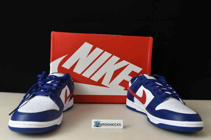 Nike Dunk Low USA (W) DD1503-119