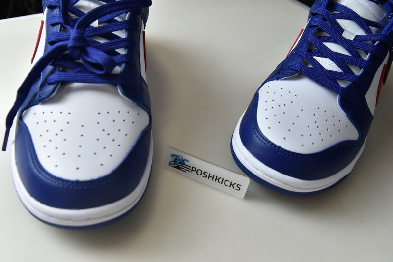 Nike Dunk Low USA (W) DD1503-119