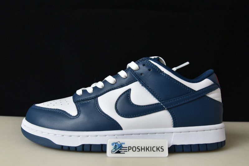 Nike dunk SB Low Retro Valerian Blue DD1391-400