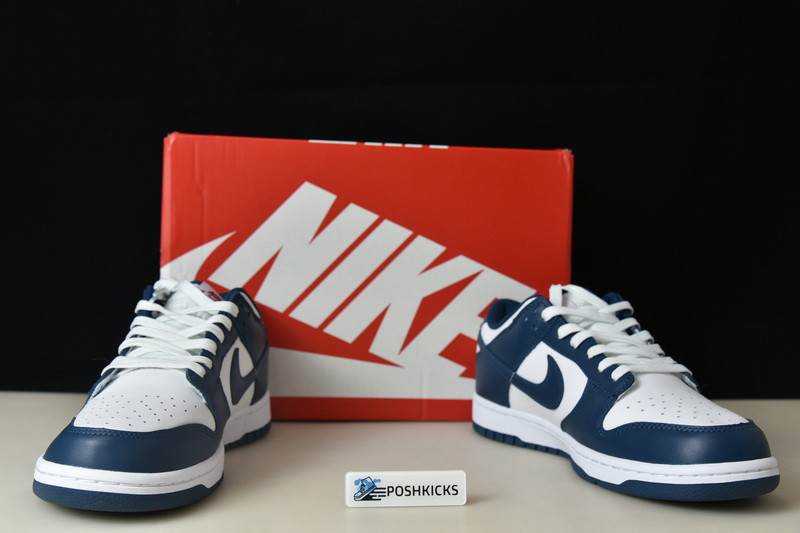 Nike dunk SB Low Retro Valerian Blue DD1391-400