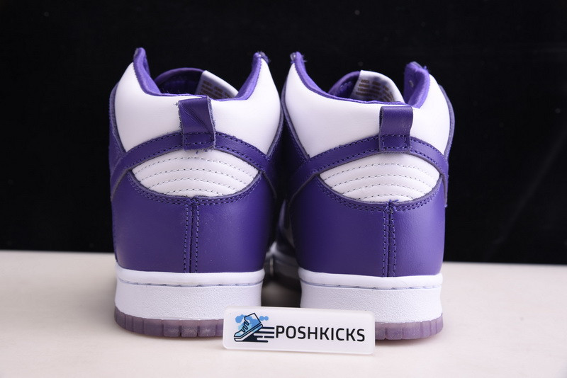 Nike Dunk High WMNS “Varsity Purple” DC5382-100