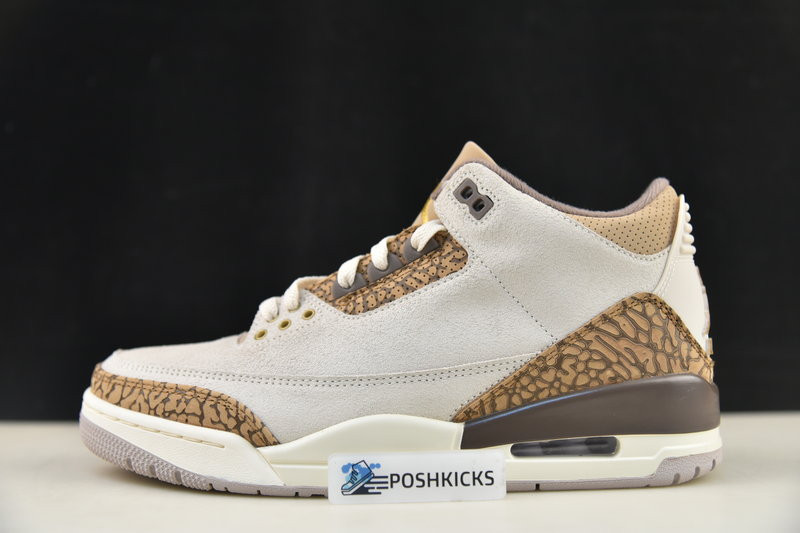 Air Jordan 3 Palomino CT8532-102