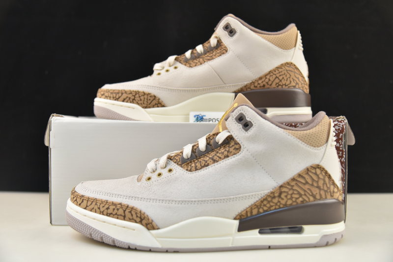 Air Jordan 3 Palomino CT8532-102