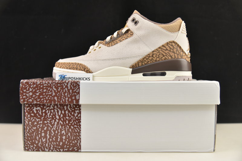 Air Jordan 3 Palomino CT8532-102
