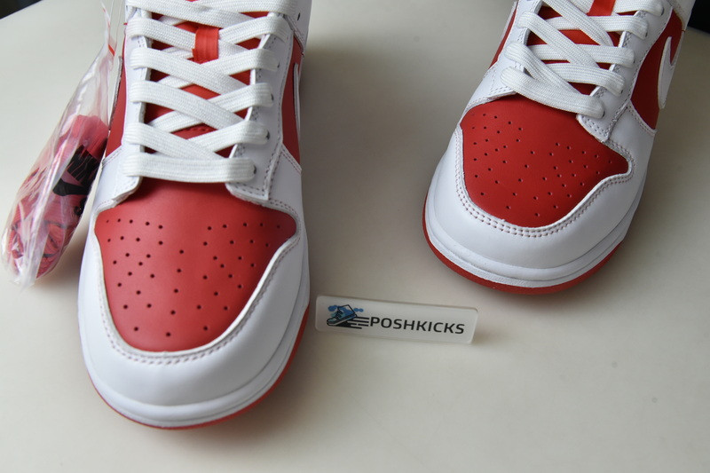 Nk Dunk Low “University Red” DD1391-600