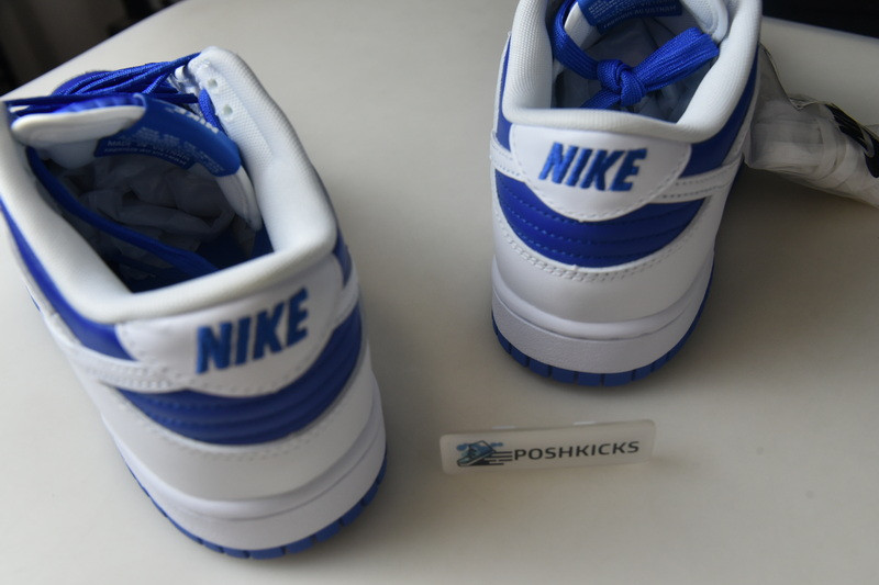 Nike Dunk Low “Racer Blue” DD1391-401