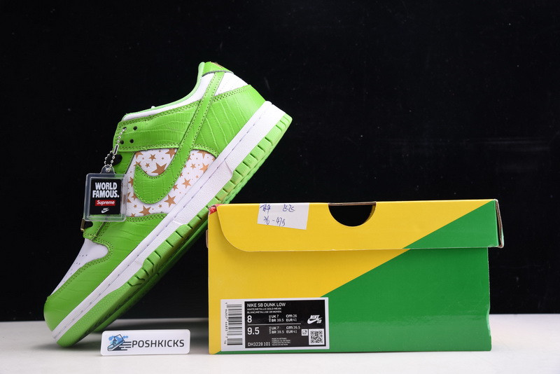 Nike SB Dunk Low DH3228-101