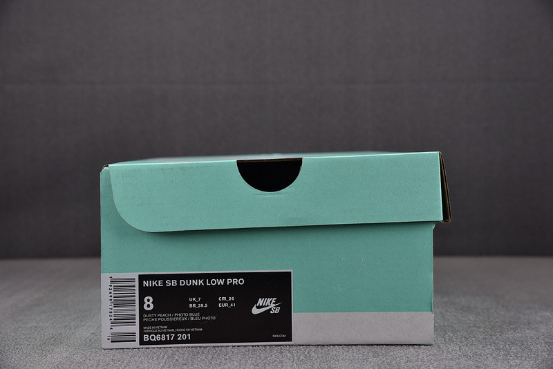Nike Dunk Low Pro SB 