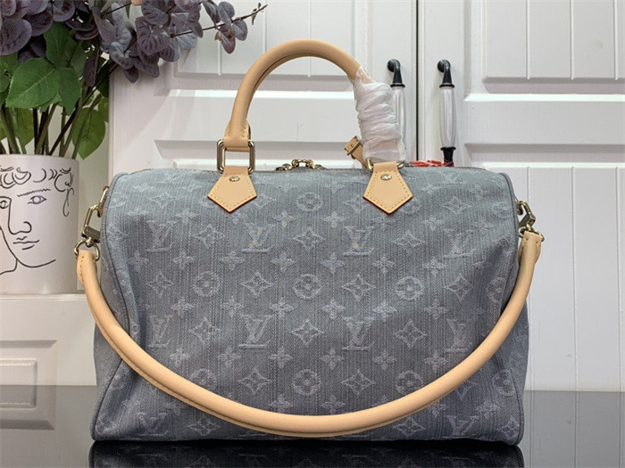 Louis Vuitton Speedy Soft 30