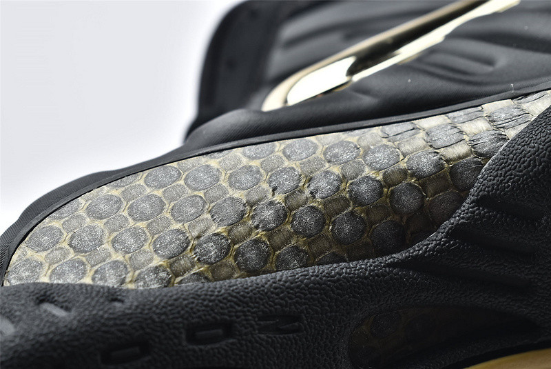 Nike Air Foamposite Pro 