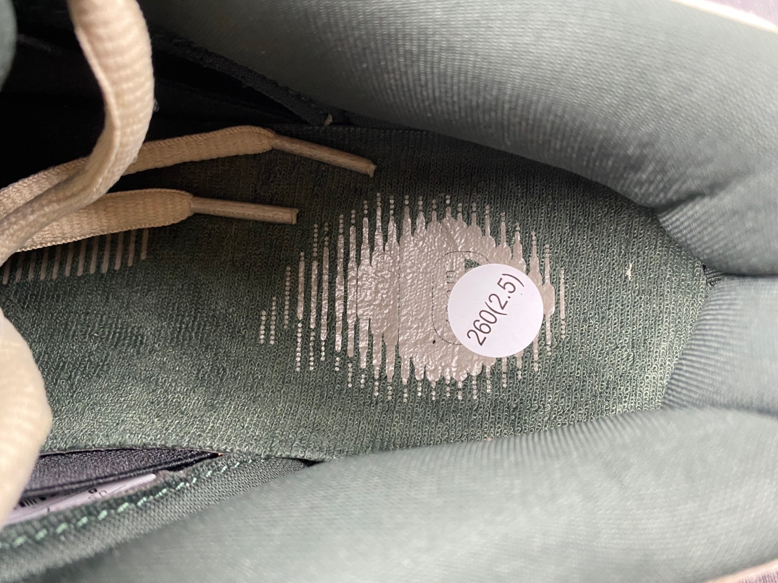 Nike SB Dunk Low Eire Men