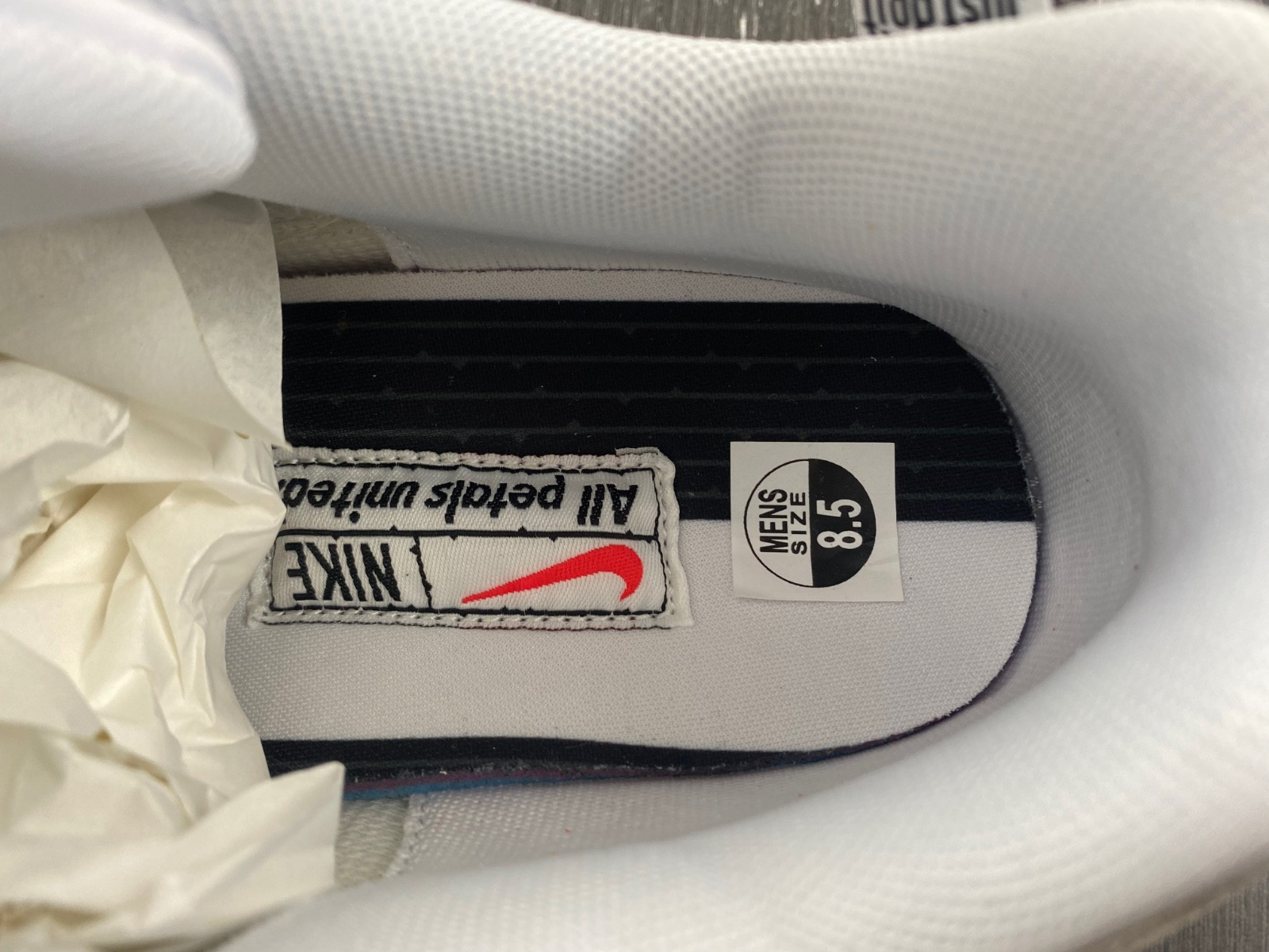 Nike Air Max 1 WMNS "All Petals United" FQ0256-131