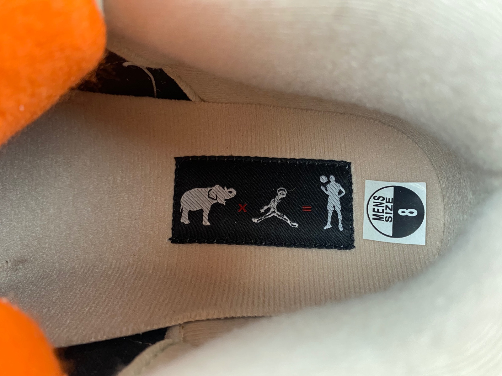 AIR JORDAN 3 “DESERT ELEPHANT” CT8532-008