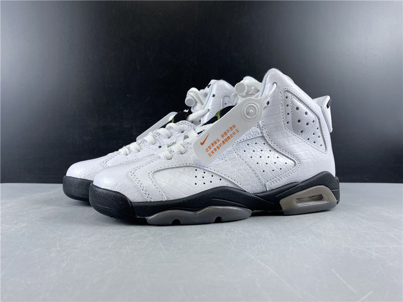 Air Jordan 6 GS Alligator 384665-110