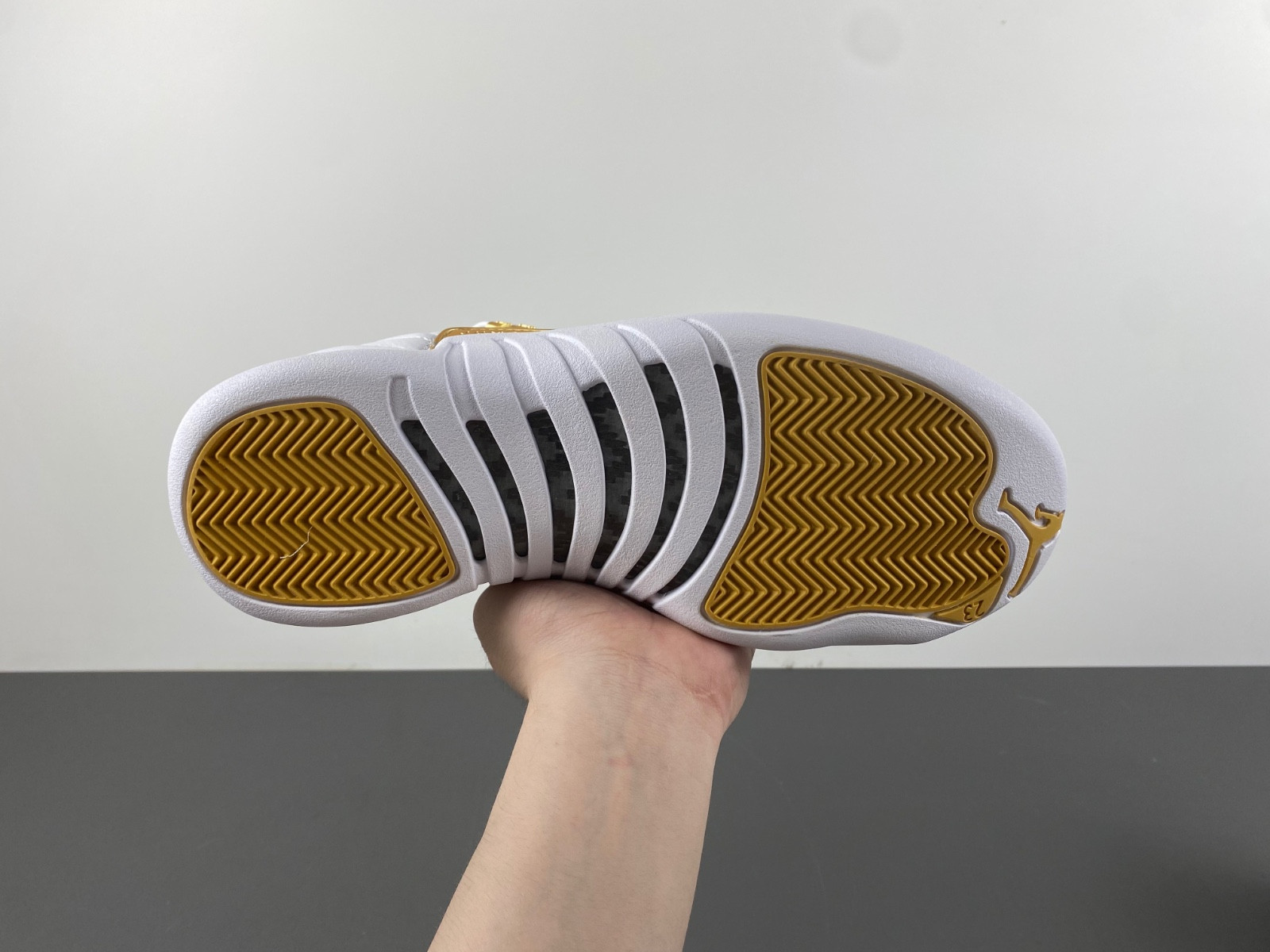 Air Jordan 12 Phantom FD9101-007