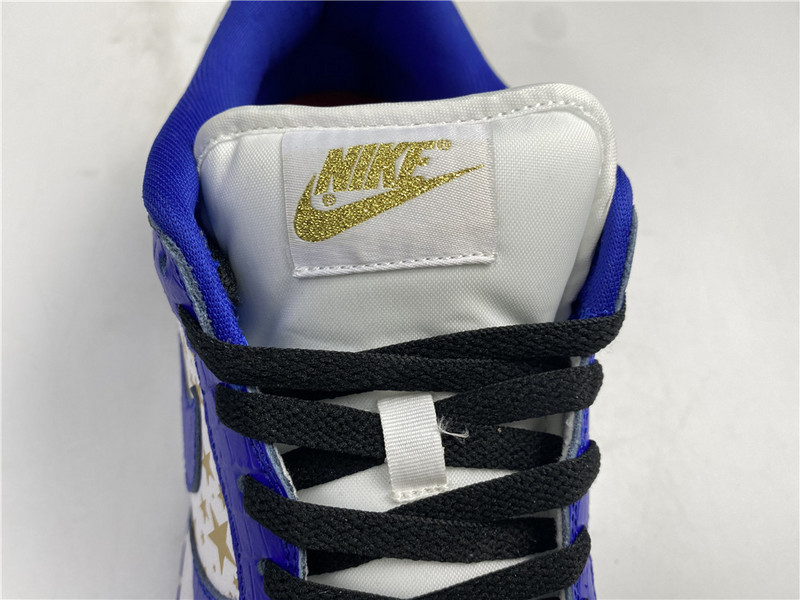 Nike SB Dunk Low DH3228-100