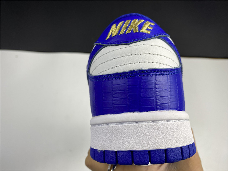 Nike SB Dunk Low DH3228-100