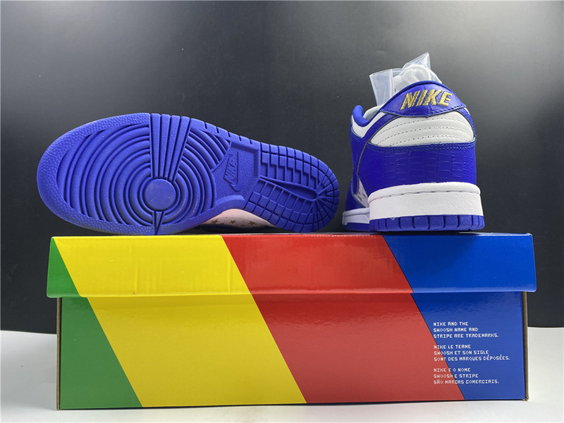 Nike SB Dunk Low DH3228-100