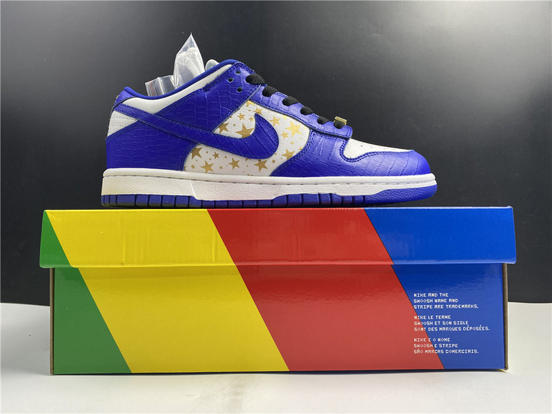 Nike SB Dunk Low DH3228-100