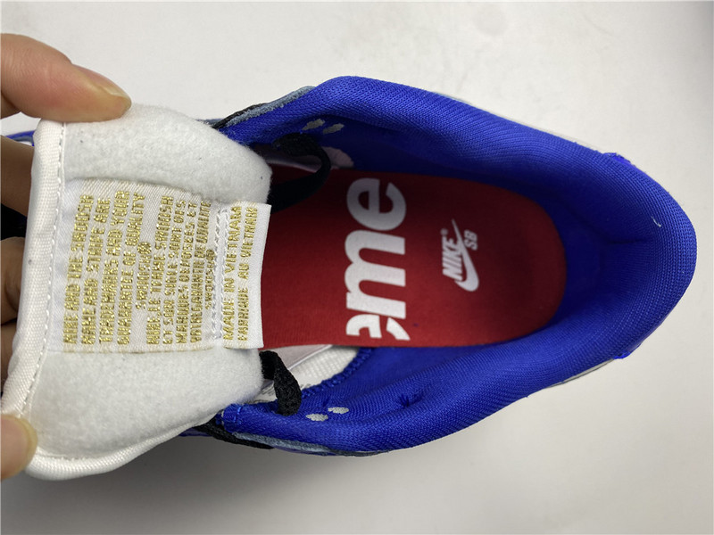 Nike SB Dunk Low DH3228-100